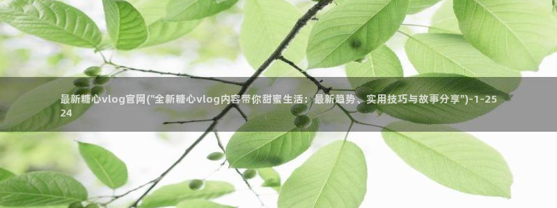糖心vlog介绍