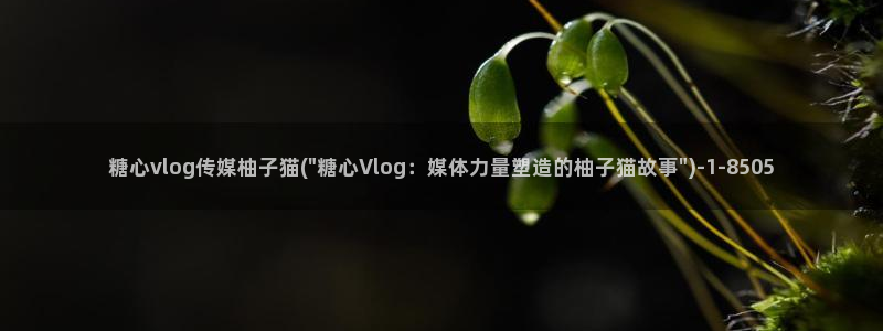 糖心sex vlog：糖心vlog传媒柚子猫(\