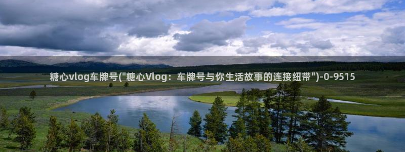 糖心vlog卸载：糖心vlog车牌号(\