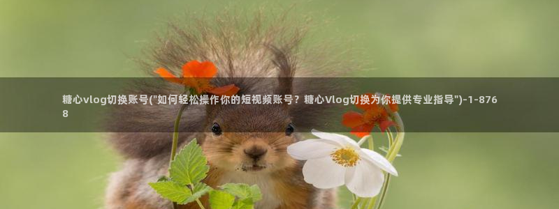 糖心vlog刷播放次数