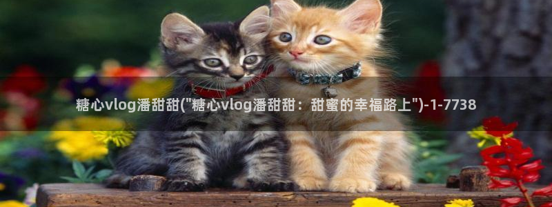 糖心vlog摄影师：糖心vlog潘甜甜(\