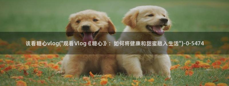 糖心vlog传媒柚子猫：该看糖心vlog(\