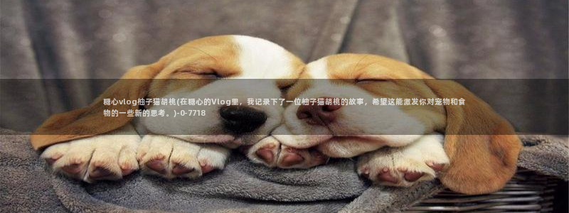 最新糖心vlog官网：糖心vlog柚子猫胡桃(在糖心的Vlog里，我记录下了一位柚子猫胡桃的故事，希望这能激发你对宠物和食物的一些新的思考。)