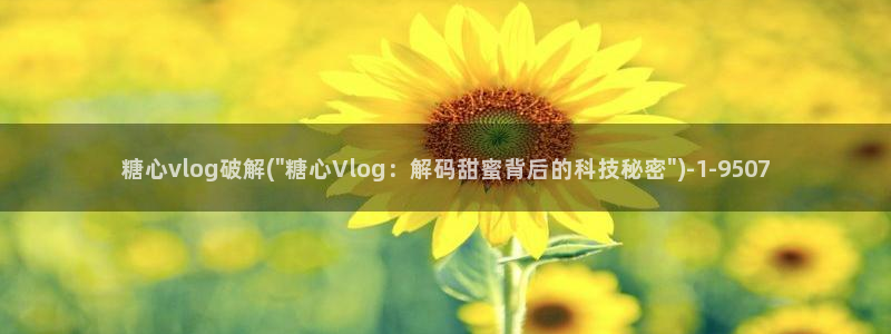 vlog糖心视频