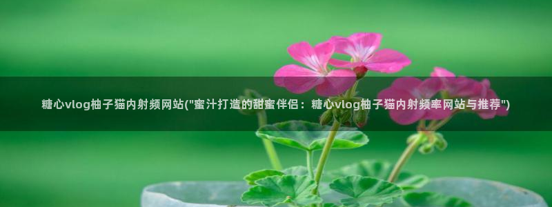 糖心vlog蜜桃君：糖心vlog柚子猫内射频网站(\